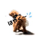 ワンコで会話（個別スタンプ：2）