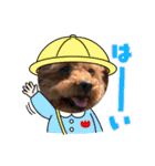 ワンコで会話（個別スタンプ：5）