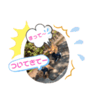 ワンコで会話（個別スタンプ：8）