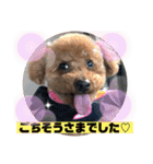 ワンコで会話（個別スタンプ：16）
