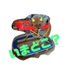 ワンコで会話（個別スタンプ：24）