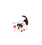 MYDOD＆CAT（個別スタンプ：6）