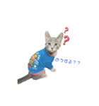 MYDOD＆CAT（個別スタンプ：14）