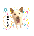 諭吉へそ天（個別スタンプ：3）
