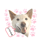 諭吉へそ天（個別スタンプ：4）