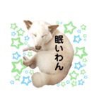 諭吉へそ天（個別スタンプ：7）