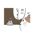 猫穴スタンプ（個別スタンプ：5）