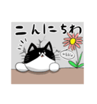 猫穴スタンプ（個別スタンプ：19）