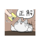 猫穴スタンプ（個別スタンプ：22）