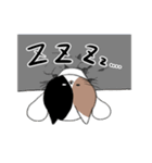 猫穴スタンプ（個別スタンプ：25）