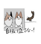 猫穴スタンプ（個別スタンプ：37）
