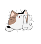 猫穴スタンプ（個別スタンプ：39）