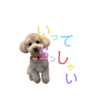 Chou Chou ＆ Lara Stickers ♡（個別スタンプ：5）