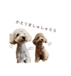 Chou Chou ＆ Lara Stickers ♡（個別スタンプ：6）