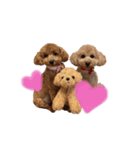 Chou Chou ＆ Lara Stickers ♡（個別スタンプ：24）