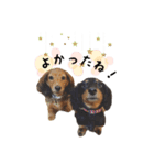 あずき＆こむぎ＆さくらstamp（個別スタンプ：4）