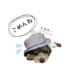 ジョイ@スタンプ（個別スタンプ：6）