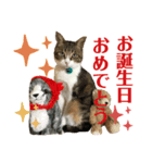ごえもん日和 12（個別スタンプ：6）