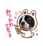 ちゅらとみる（個別スタンプ：3）