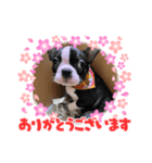 ちゅらとみる（個別スタンプ：5）