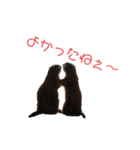プレーリードッグ3（個別スタンプ：6）