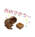 プレーリードッグ3（個別スタンプ：10）