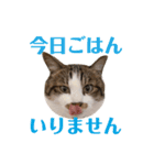 使いやすいくろまめスタンプ（個別スタンプ：9）