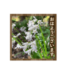 お花で始まる一日（個別スタンプ：8）