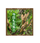お花で始まる一日（個別スタンプ：10）