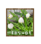 お花で始まる一日（個別スタンプ：12）