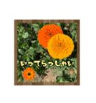 お花で始まる一日（個別スタンプ：13）