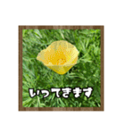お花で始まる一日（個別スタンプ：14）