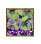 お花で始まる一日（個別スタンプ：18）