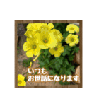 お花で始まる一日（個別スタンプ：20）