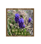 お花で始まる一日（個別スタンプ：21）