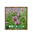 お花で始まる一日（個別スタンプ：22）