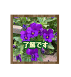お花で始まる一日（個別スタンプ：24）