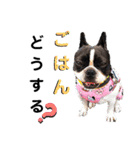 フレブル マリンさん（個別スタンプ：34）
