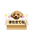 よっちゅんのスタンプ♡日常語（個別スタンプ：7）