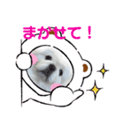 ペキニーズのマロン②（個別スタンプ：5）