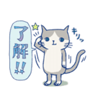 ＊ハチワレねこちゃんの日常とあいさつ＊（個別スタンプ：1）