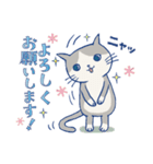 ＊ハチワレねこちゃんの日常とあいさつ＊（個別スタンプ：3）