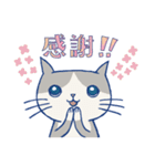 ＊ハチワレねこちゃんの日常とあいさつ＊（個別スタンプ：4）