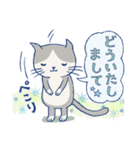 ＊ハチワレねこちゃんの日常とあいさつ＊（個別スタンプ：8）