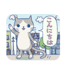 ＊ハチワレねこちゃんの日常とあいさつ＊（個別スタンプ：12）