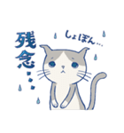 ＊ハチワレねこちゃんの日常とあいさつ＊（個別スタンプ：19）