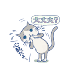 ＊ハチワレねこちゃんの日常とあいさつ＊（個別スタンプ：23）