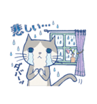 ＊ハチワレねこちゃんの日常とあいさつ＊（個別スタンプ：34）