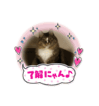ネコのマイキー3（個別スタンプ：14）