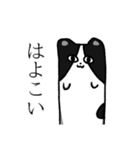 ねこのニャントカ（個別スタンプ：22）